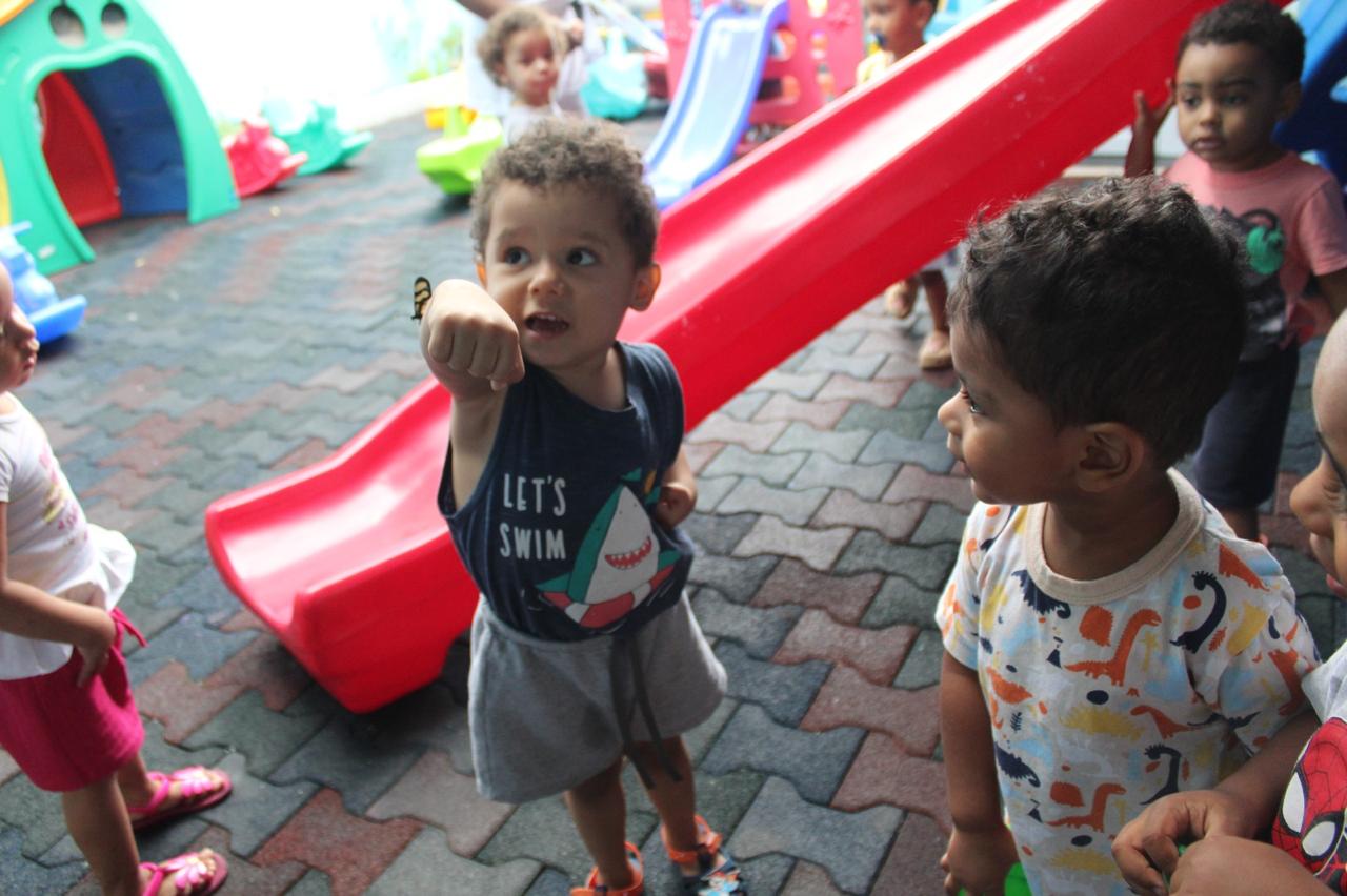 O encantamento da borboleta