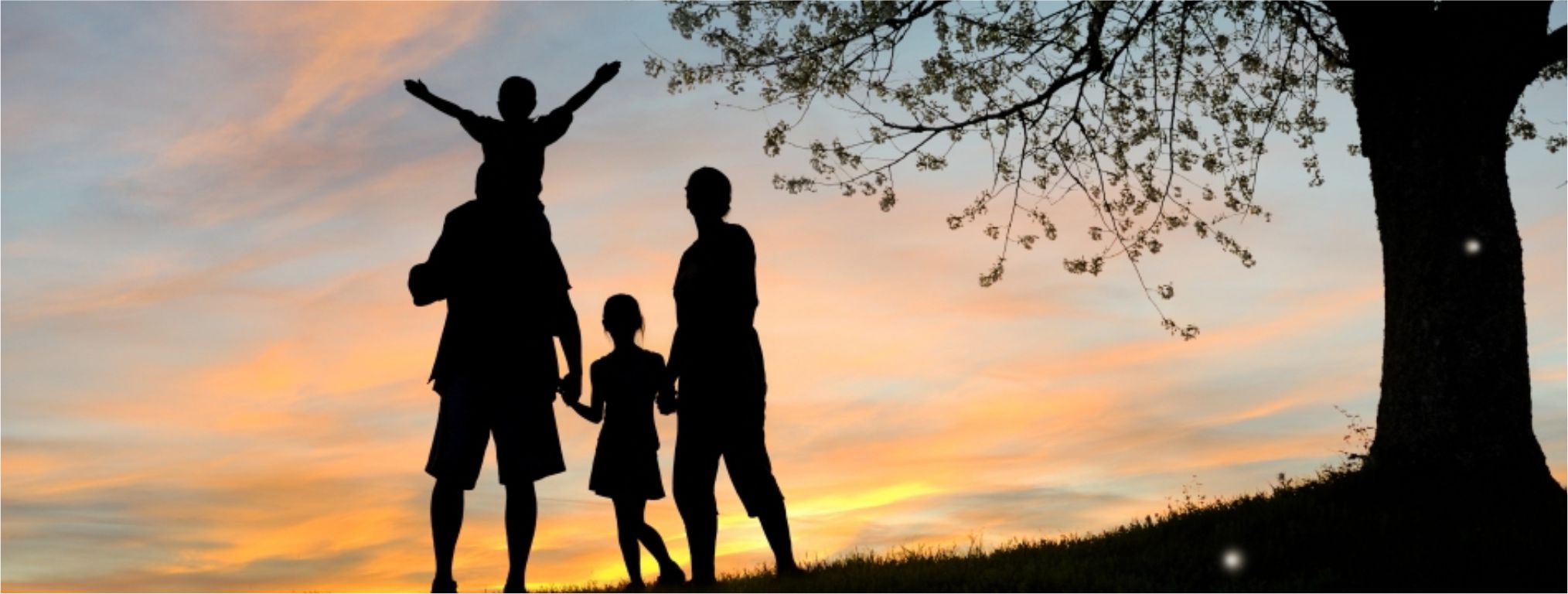 A arte da paciência em família