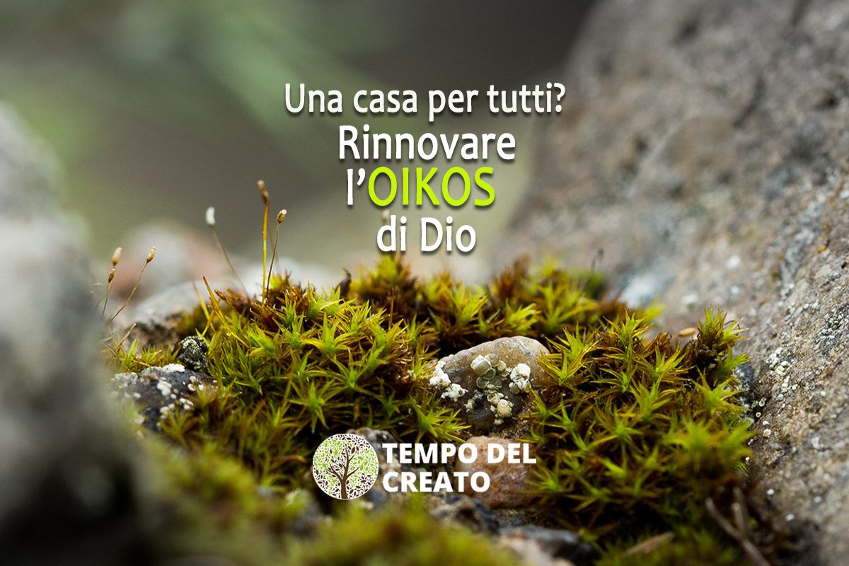 Tempo da Criação 2021