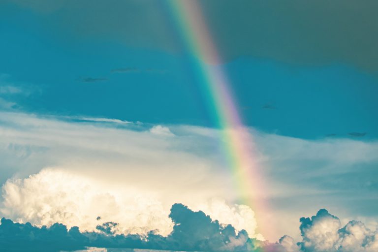 Das Comunidades das FMA da Ucrânia