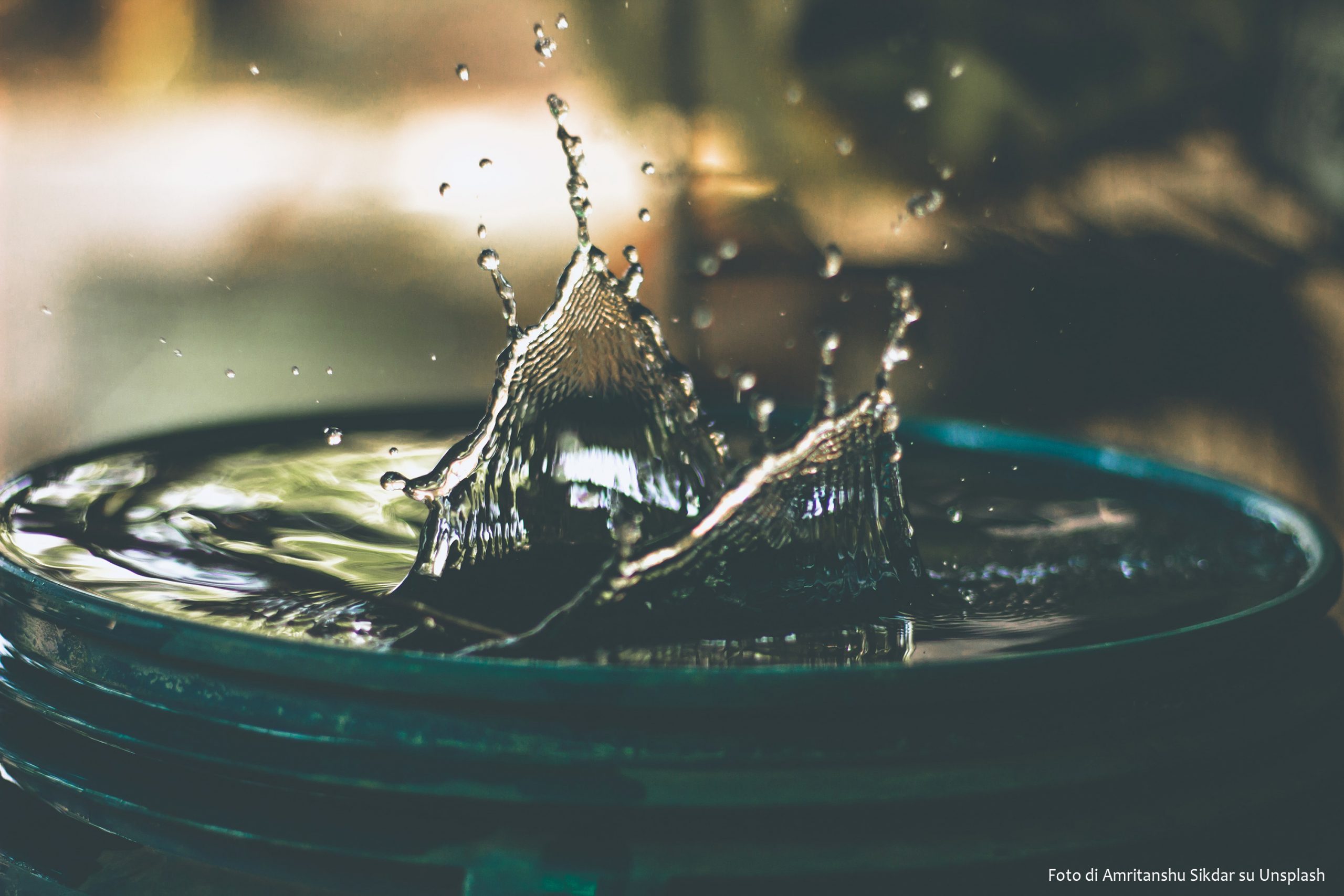 Dia Mundial da Água