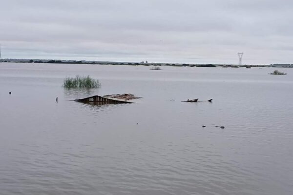 Em solidariedade com o Rio Grande do Sul